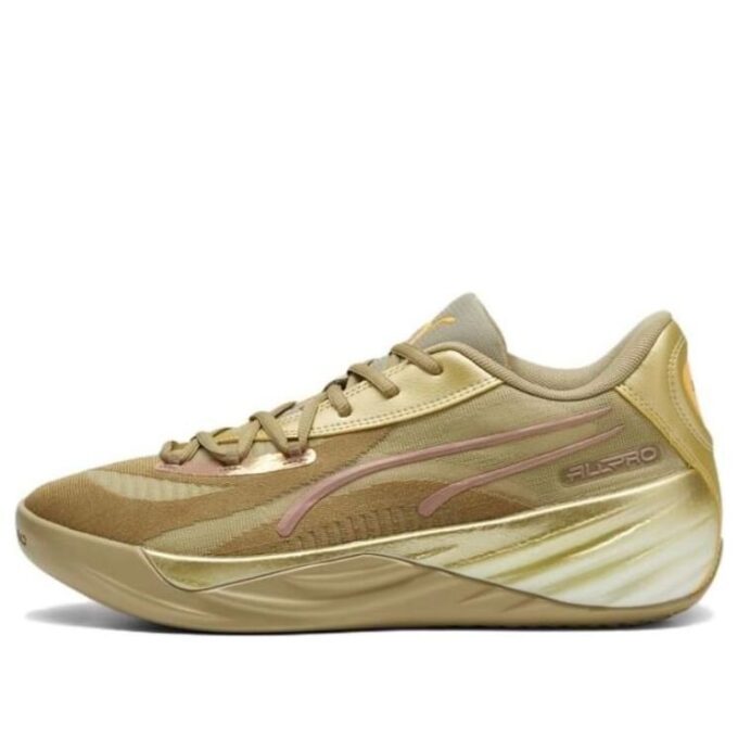 All-Pro Nitro CNY «Oro»