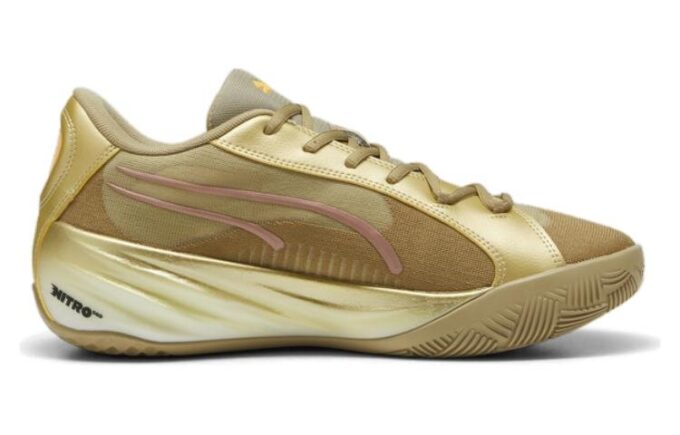 All-Pro Nitro CNY «Oro»