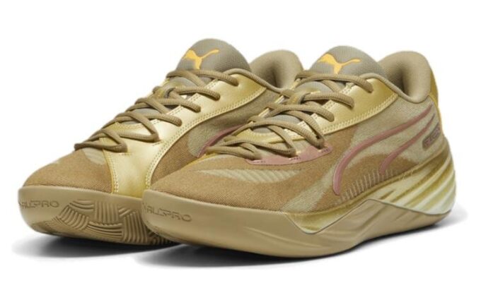 All-Pro Nitro CNY «Oro»