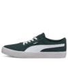 C-Skate Vulc «Tejas Verdes»