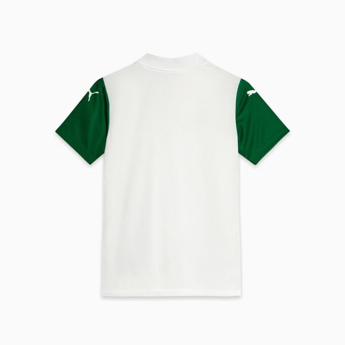 Camiseta de fútbol de visitante para niños grandes del SE Palmeiras Torcedor ’25