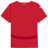 Camiseta de fútbol local réplica de Austria 24 «Roja»