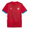 Camiseta de fútbol local Serbia 24 «Roja»