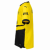 Camiseta local auténtica del Borussia Dortmund 23/24 «Amarillo»