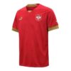Camiseta local de Serbia 2022 «Roja»