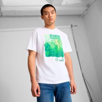 Camiseta SE Palmeiras para hombre