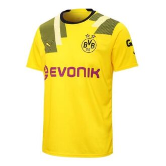 Camiseta tercera copa Borussia Dortmund Axel Witsel 28 «Amarillo»