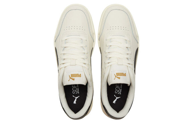 Caracal «Susurro Blanco Negro»