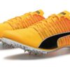 Cepillo evoSpeed  6 «Sun Stream Black»
