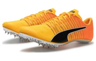 Cepillo evoSpeed  6 «Sun Stream Black»