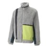 Chaqueta Ralph de invierno «gris»