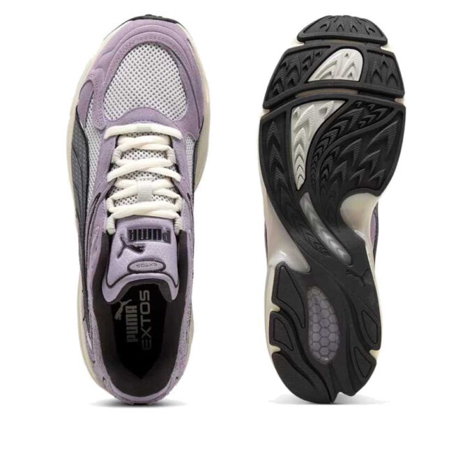 Coleccionista de Extos «Glacial Grey Pale Plum»