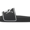 Diapositiva Leadcat 2.0 «Blanco y negro»