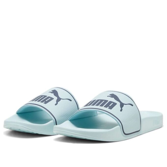 Diapositivas Leadcat 2.0 «Azul claro y azul marino»