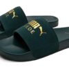 Diapositivas Leadcat «Oro Verde»