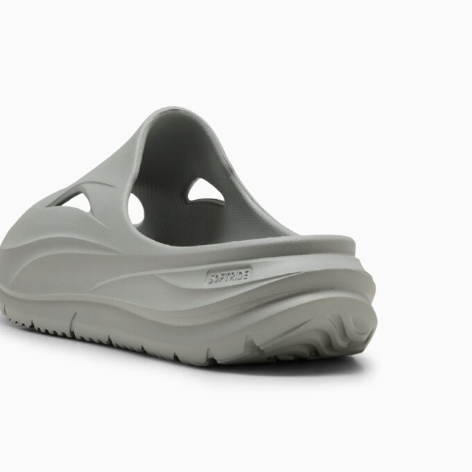 Diapositivas SOFTRIDE ZeroG