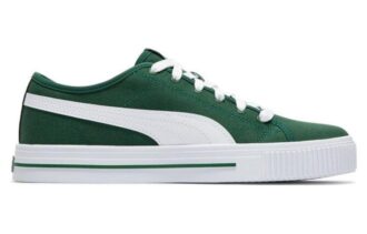 Ever Fs Cv «Verde»