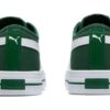 Ever Fs Cv «Verde»
