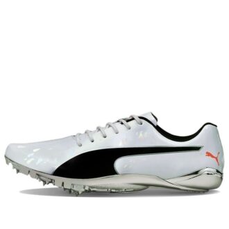 evoSPEED Electric 10 «Gris»