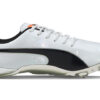 evoSPEED Electric 10 «Gris»