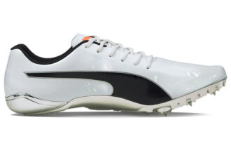 evoSPEED Electric 10 «Gris»