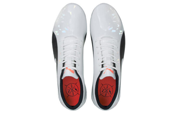 evoSPEED Electric 10 «Gris»