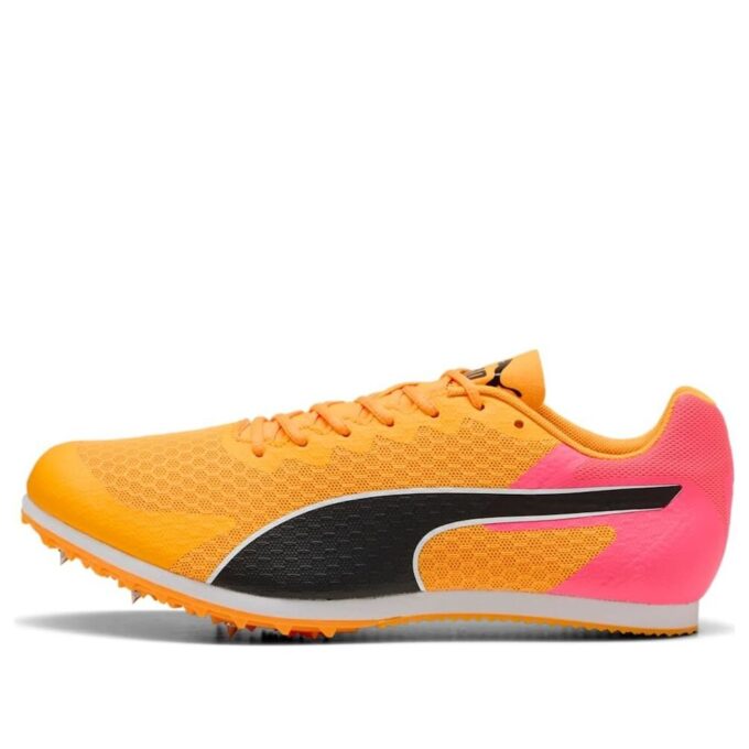 evoSPEED Star 9 «Transmisión solar»