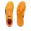 evoSPEED Star 9 «Transmisión solar»