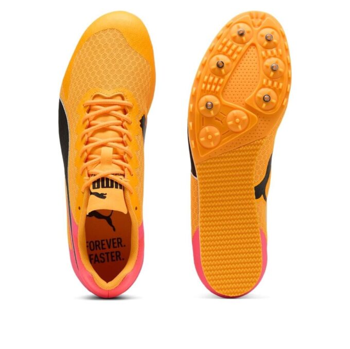 evoSPEED Star 9 «Transmisión solar»