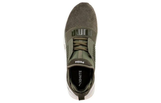 Ignite Limitless Reptile «Verde retro versátil»