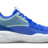 Jinete de la corte «Bluemazing»