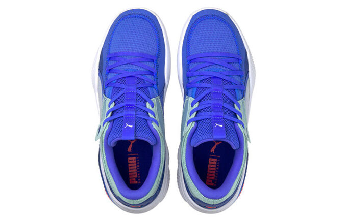 Jinete de la corte «Bluemazing»
