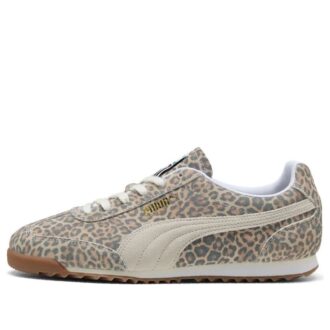 «Leopardo» de Arizona
