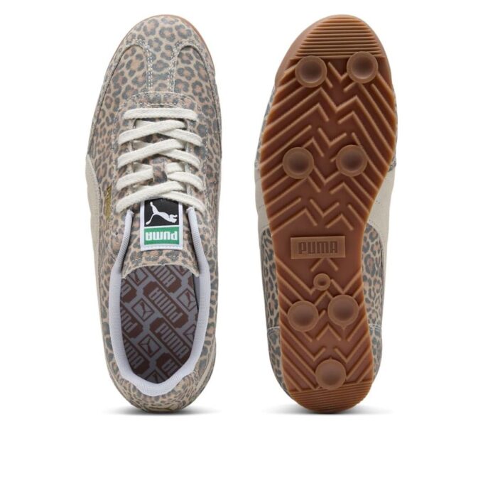 «Leopardo» de Arizona