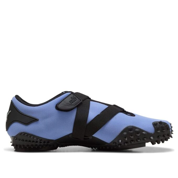 Mostro OG «Lavanda intensa»