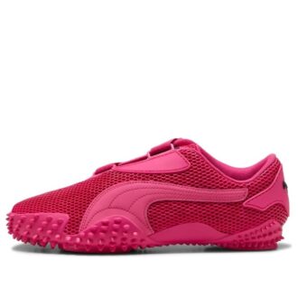 Muestra «Puma rosa y negro»