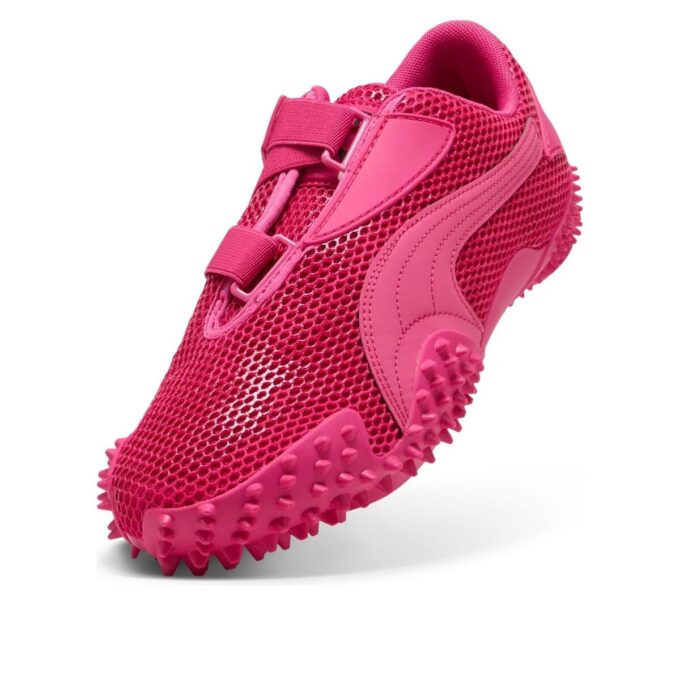 Muestra «Puma rosa y negro»