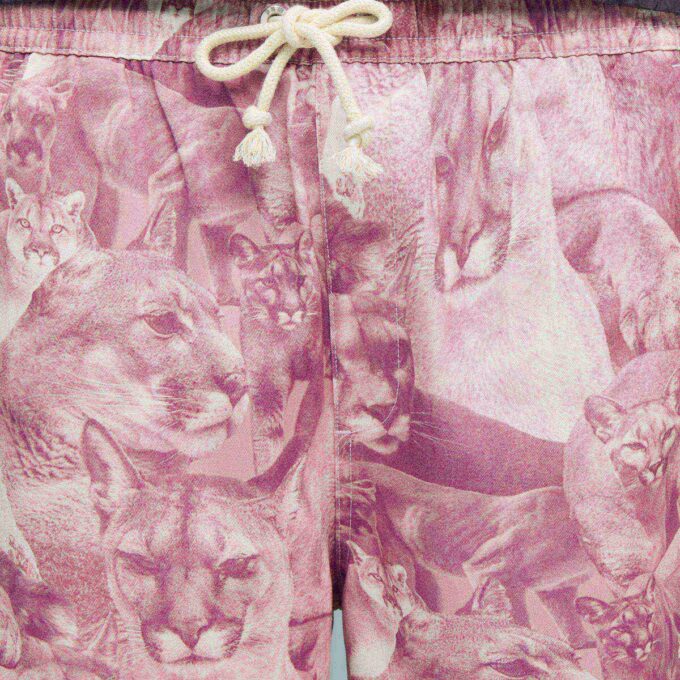 Pantalones con estampado animal Cat Crazy Men Pantalones con estampado animal Cat Crazy Men