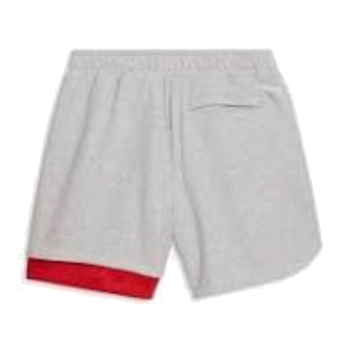 Pantalones cortos PUMA x MELO Ralph «Gris Azul Rojo»
