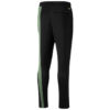 Pantalones de baloncesto Ralph Sampson «Negro Verde»
