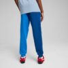 Pantalones deportivos BMW M Motorsport Essentials para niños grandes Pantalones deportivos BMW M Motorsport Essentials para niños grandes