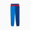 Pantalones deportivos BMW M Motorsport Essentials para niños grandes Pantalones deportivos BMW M Motorsport Essentials para niños grandes