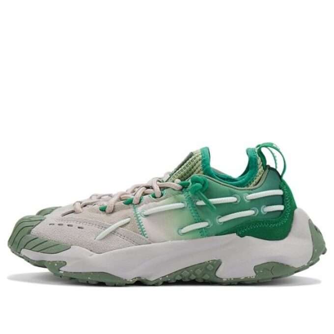 Plexus Gradient Sophia Chang «Gris Verde»