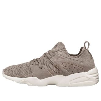 PUMA Blaze Ct Gris
