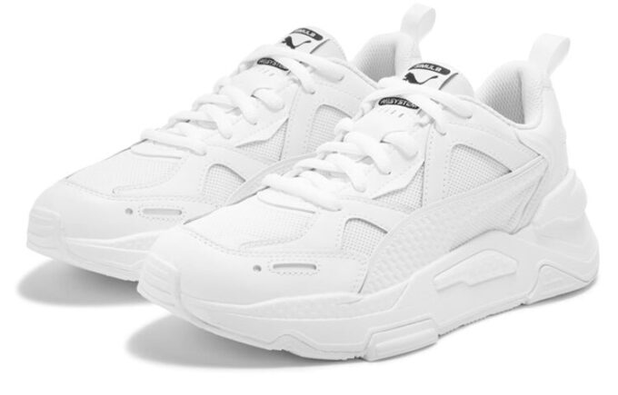 PUMA RS-Simul8 Core