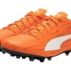 Rapido III MG «Naranja Blanco»