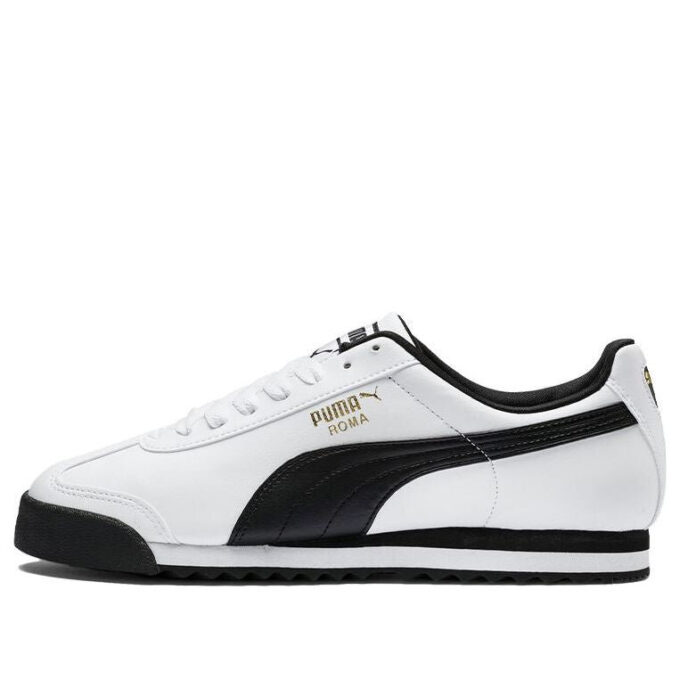 Roma Basic «Blanco Negro»