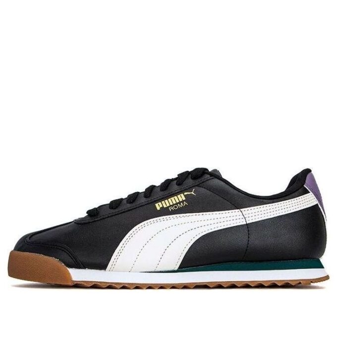 Roma Basic Plus «Blanco Verde Universitario»