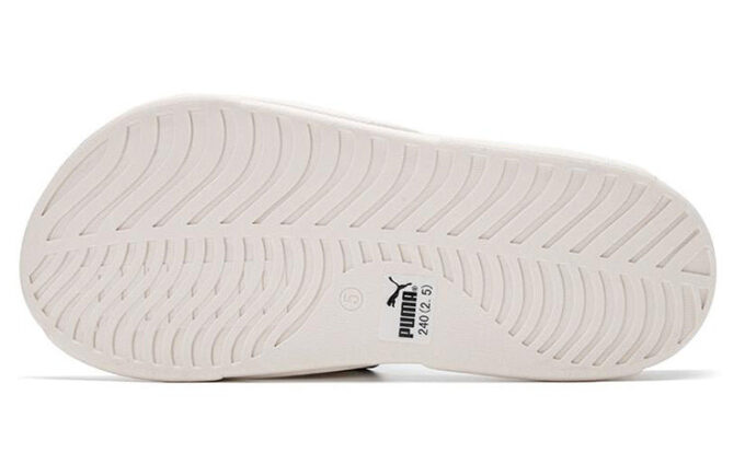 Royalcat Bz Yinshua «Blanco y Amarillo»