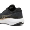 Scend Pro Engineered «Oro Negro»